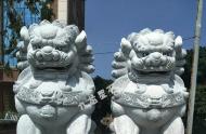 常見的門前石獅子圖片大全